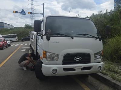 2013 Hyundai e-Mighty