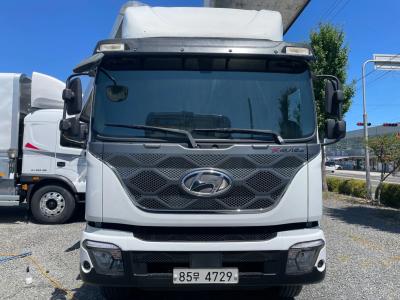 2021 Hyundai Pavise
