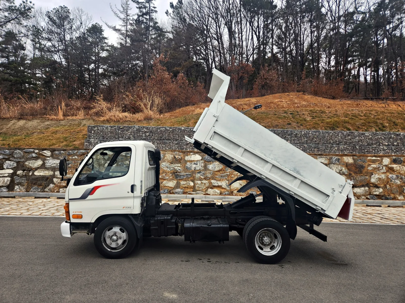 2008 Hyundai Mighty Cutie