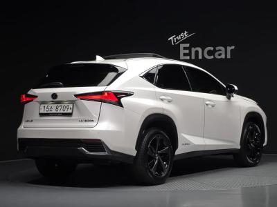 2019 Lexus NX