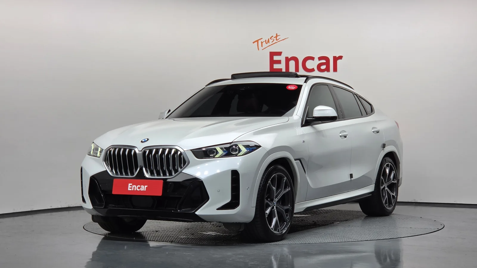 2024 BMW X6