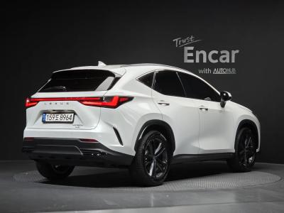 2025 Lexus NX