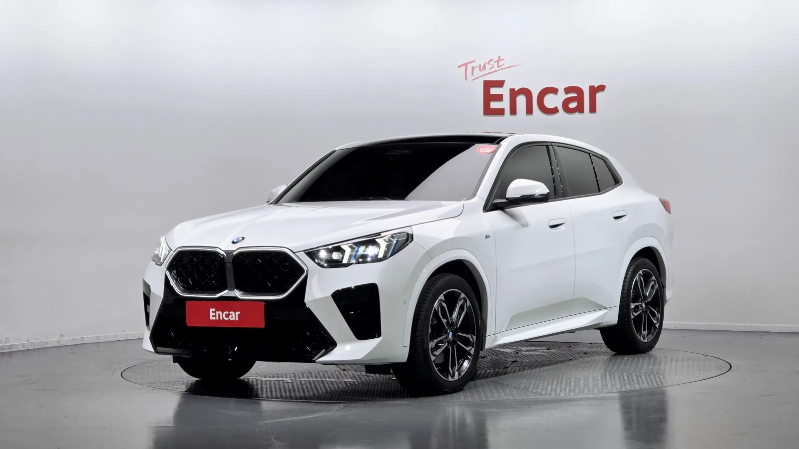 2025 BMW X2 (F39)