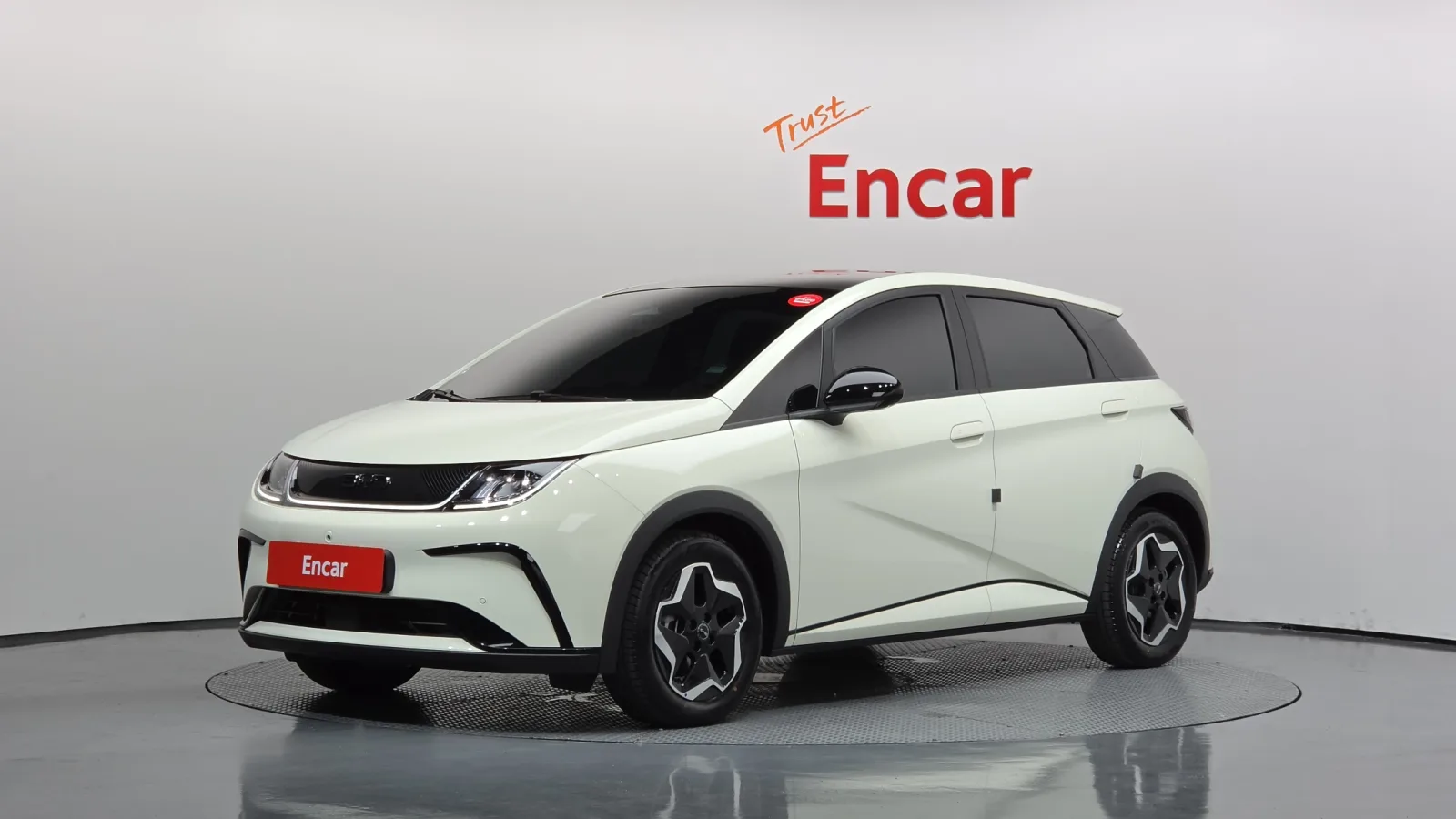 2026 BYD Dolphin
