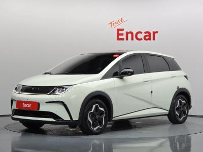 2026 BYD Dolphin
