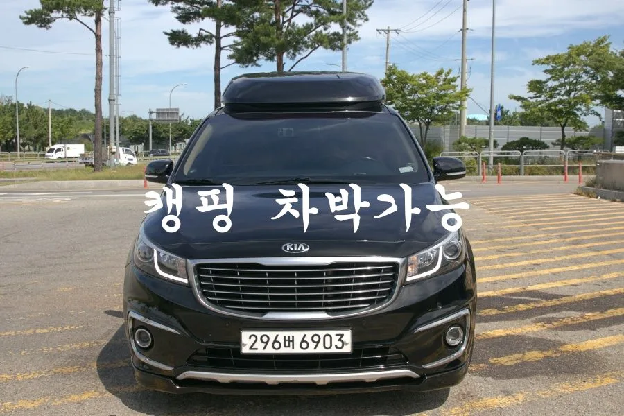 2017 Kia Carnival