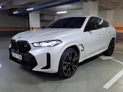 2024 BMW X6