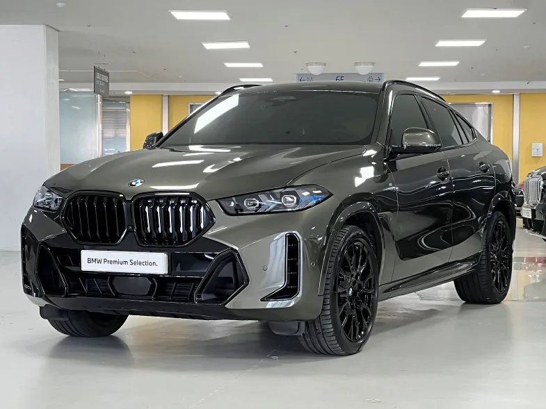 2024 BMW X6