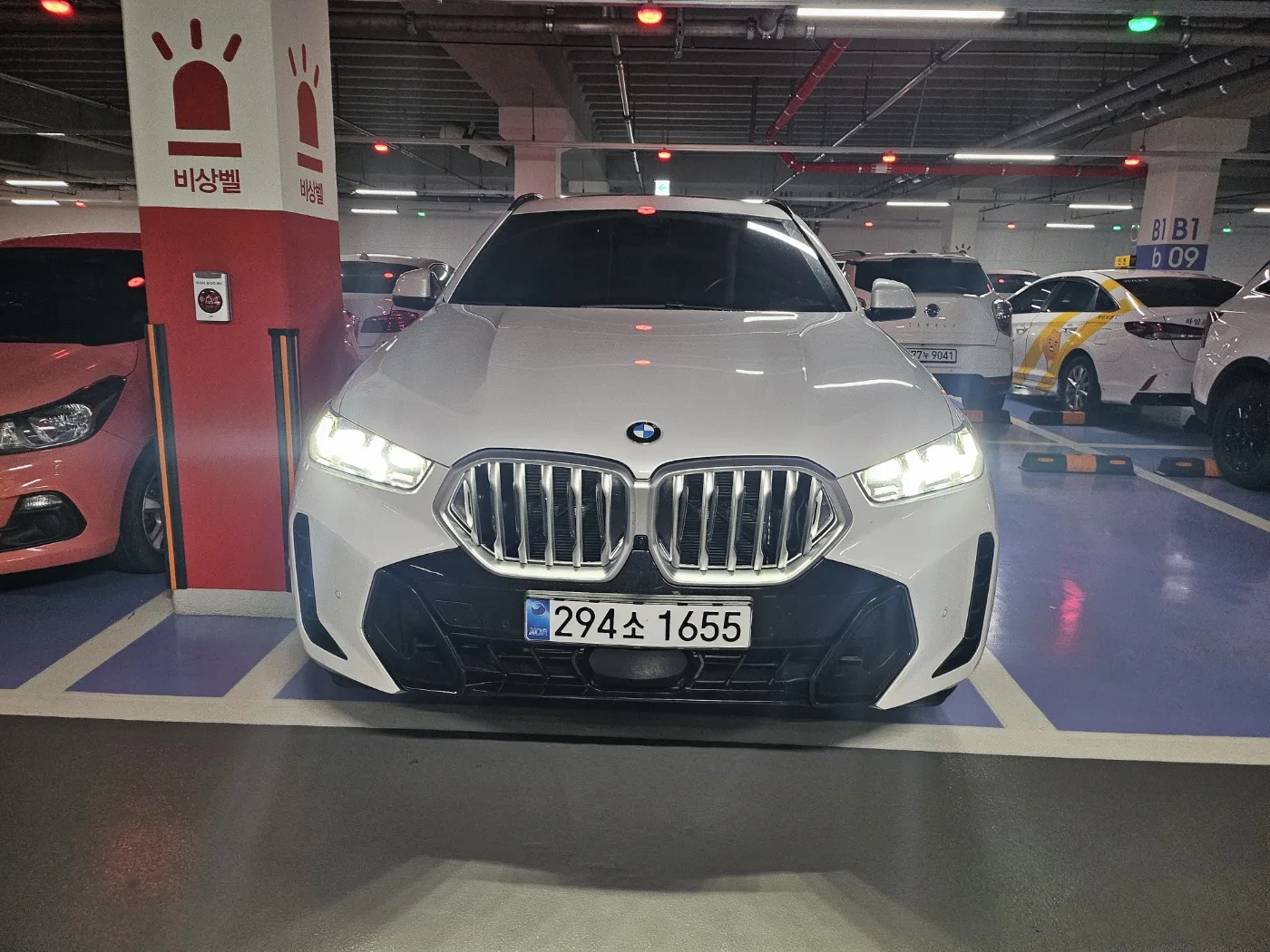 2024 BMW X6