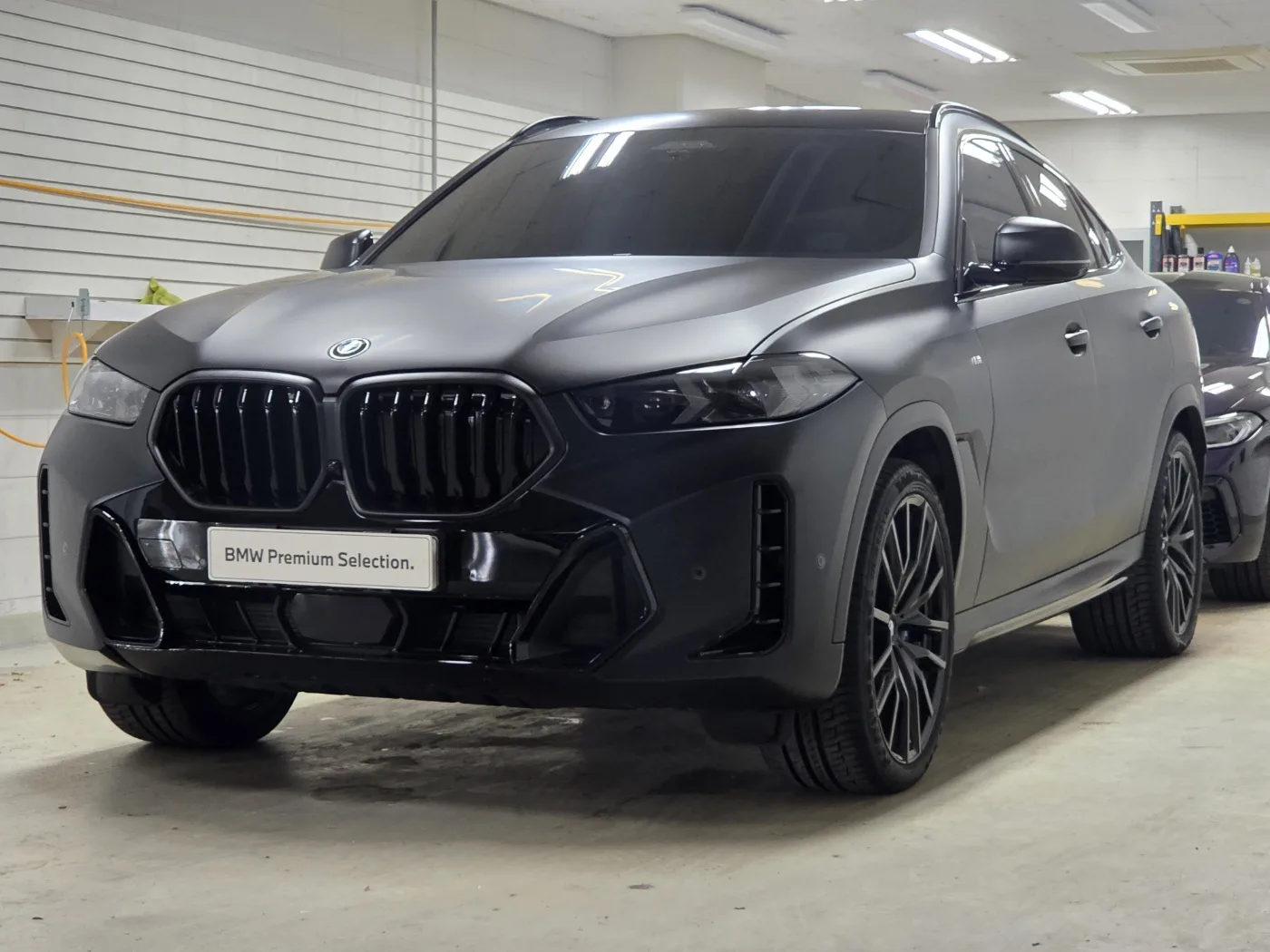 2025 BMW X6