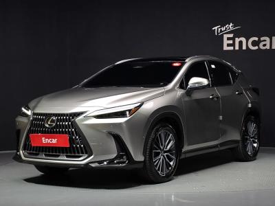 2025 Lexus NX