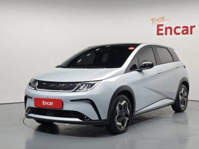 2026 BYD Dolphin