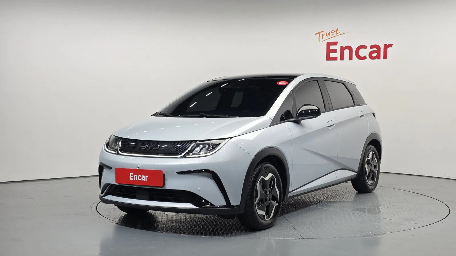 2026 BYD Dolphin