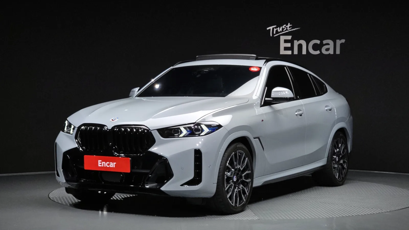 2024 BMW X6