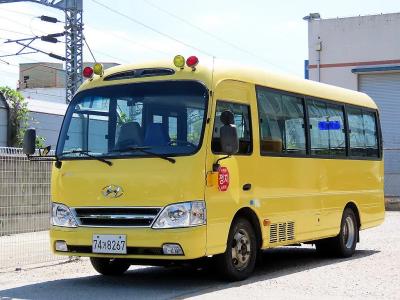 2014 Hyundai New County