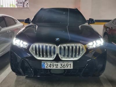2025 BMW X6