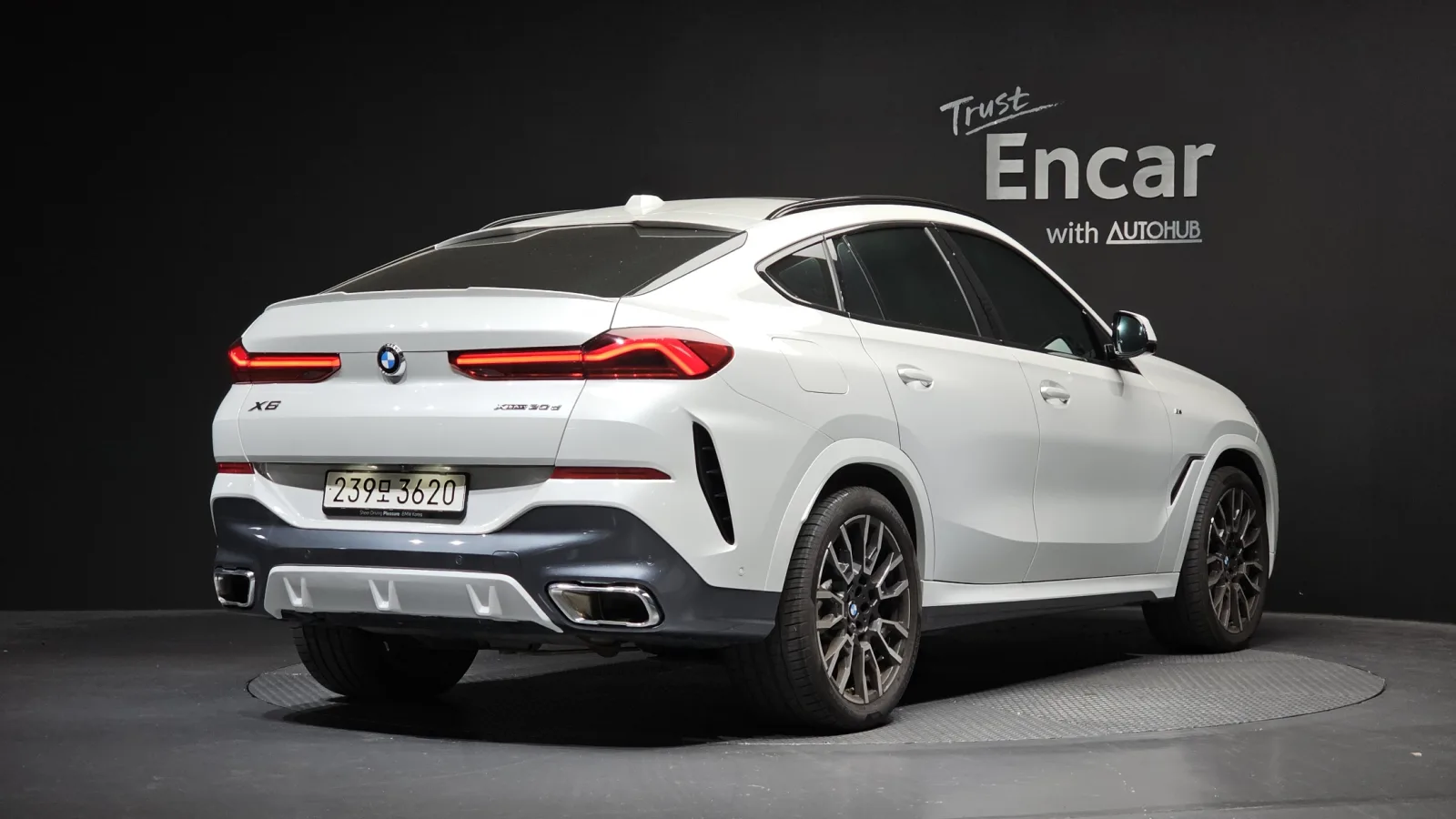 2025 BMW X6