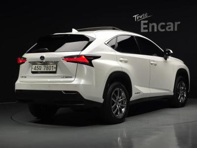 2017 Lexus NX
