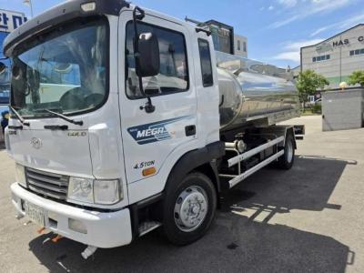 2013 Hyundai Mega Truck