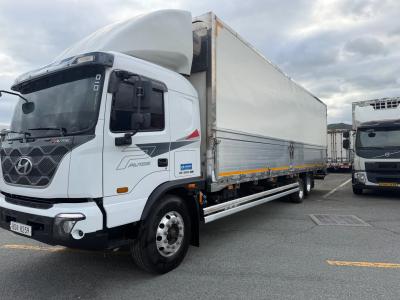 2022 Hyundai Pavise