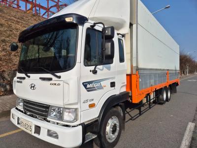 2011 Hyundai Mega Truck