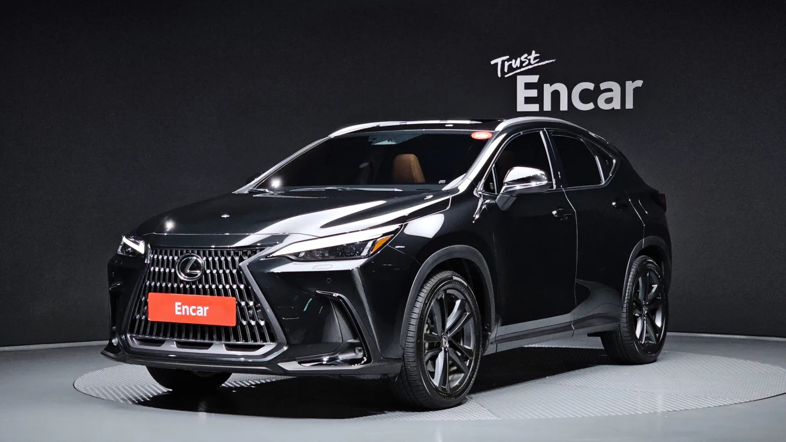 2025 Lexus NX