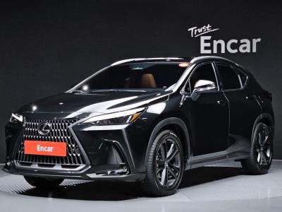 2025 Lexus NX