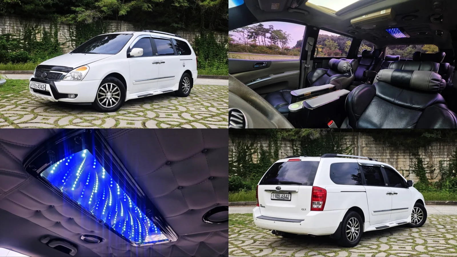 2010 Kia Carnival