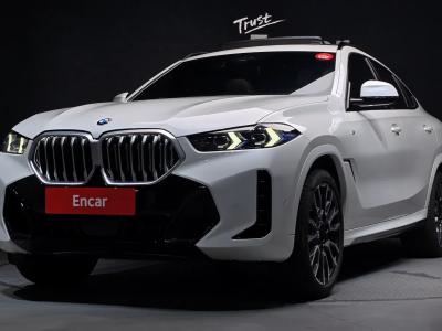 2024 BMW X6