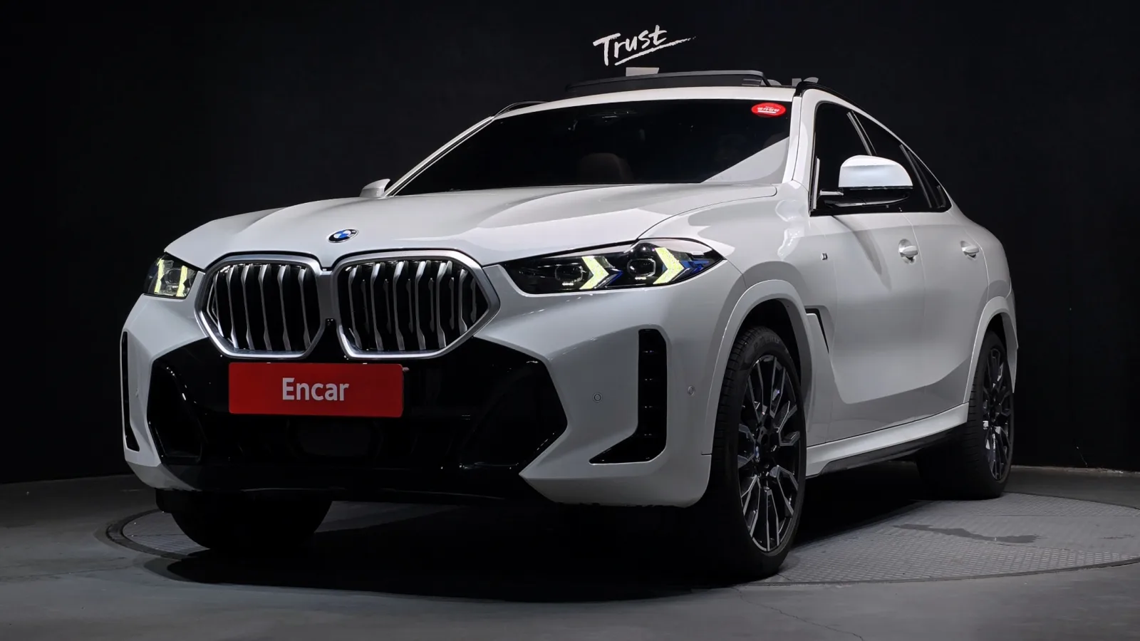 2024 BMW X6