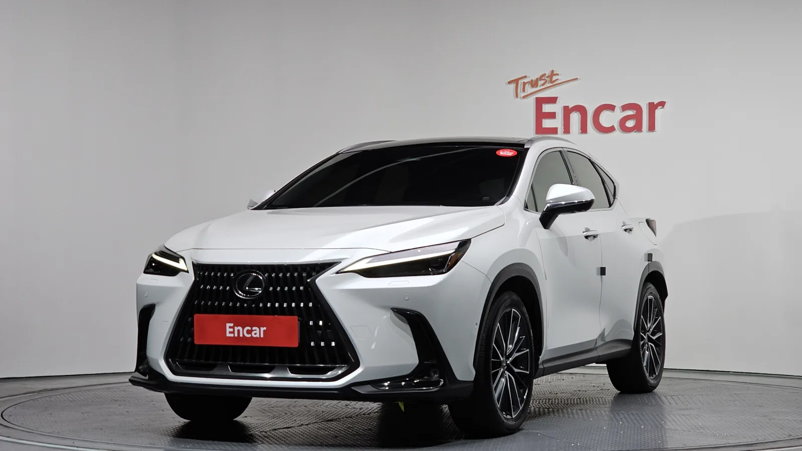 2024 Lexus NX