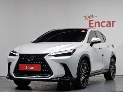 2024 Lexus NX