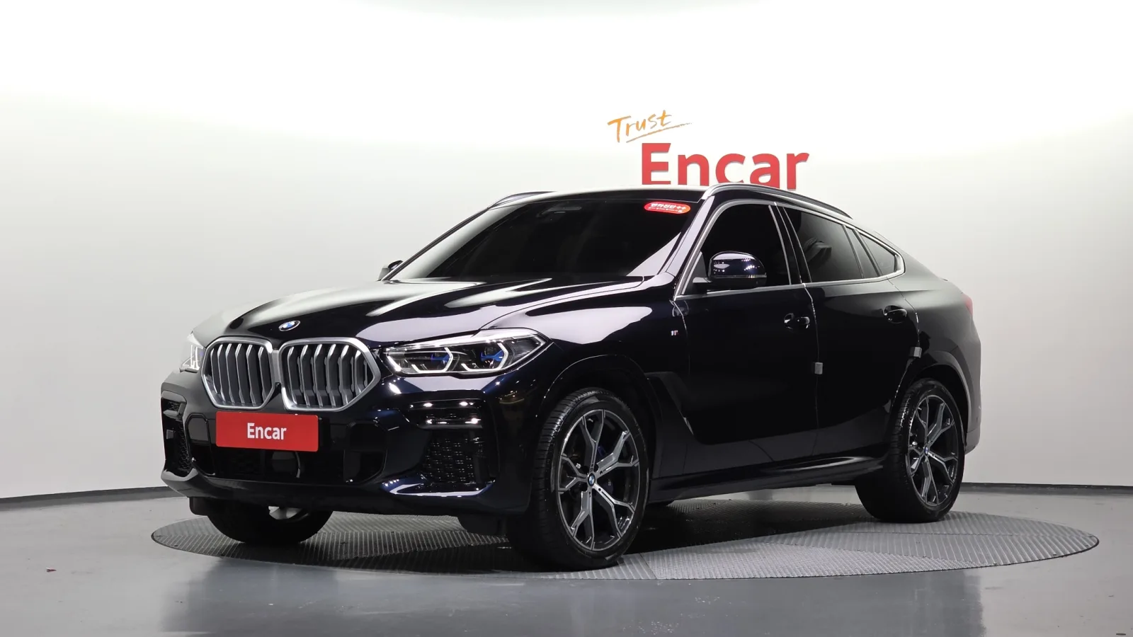 2023 BMW X6