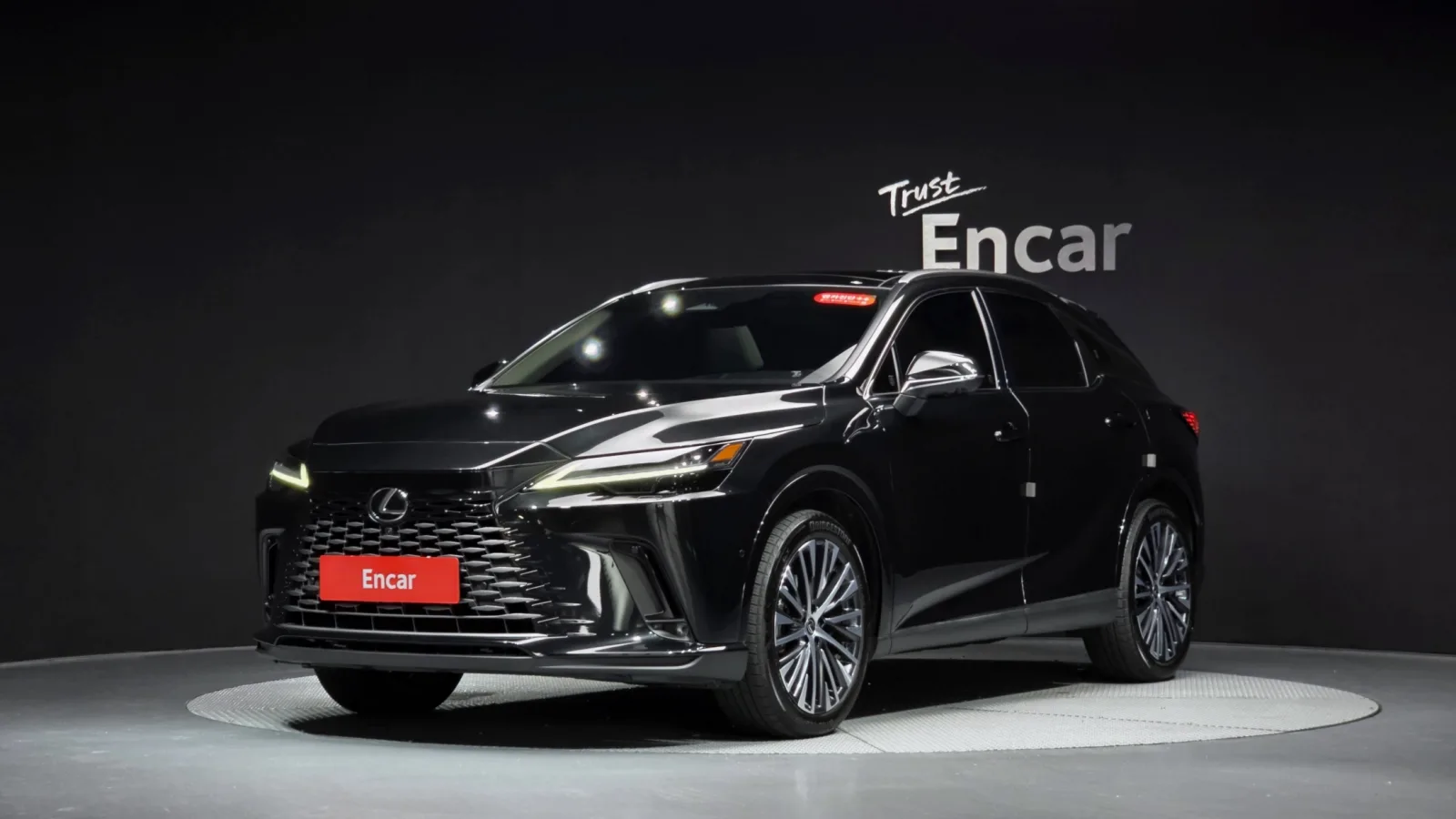 2025 Lexus RX