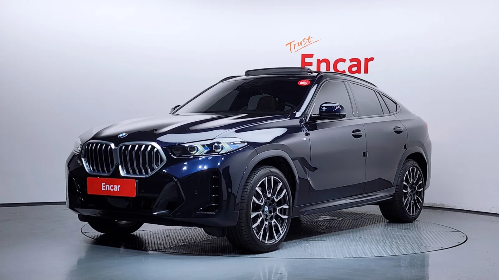 2025 BMW X6