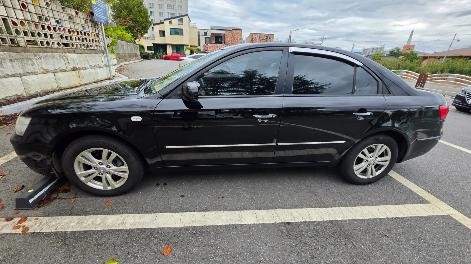 2010 Hyundai Sonata