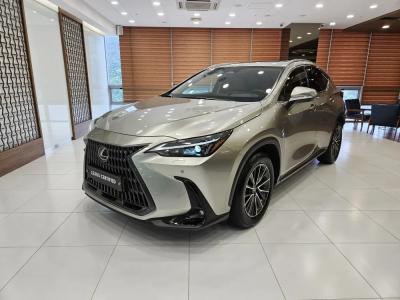 2024 Lexus NX