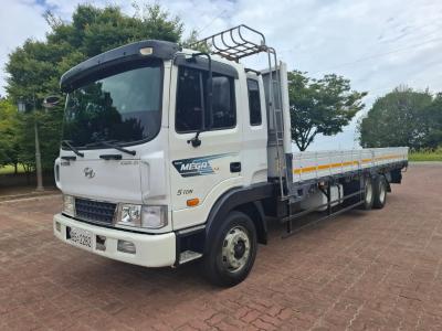 2010 Hyundai Mega Truck