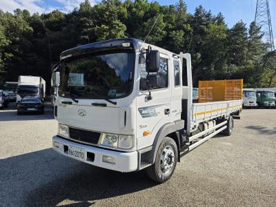 2019 Hyundai Mega Truck