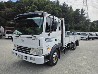 2006 Hyundai Mega Truck