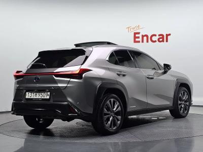 2021 Lexus UX