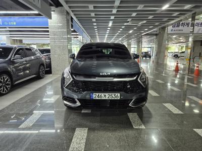 2024 Kia Sportage