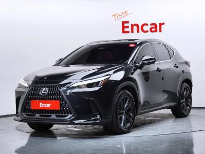 2025 Lexus NX