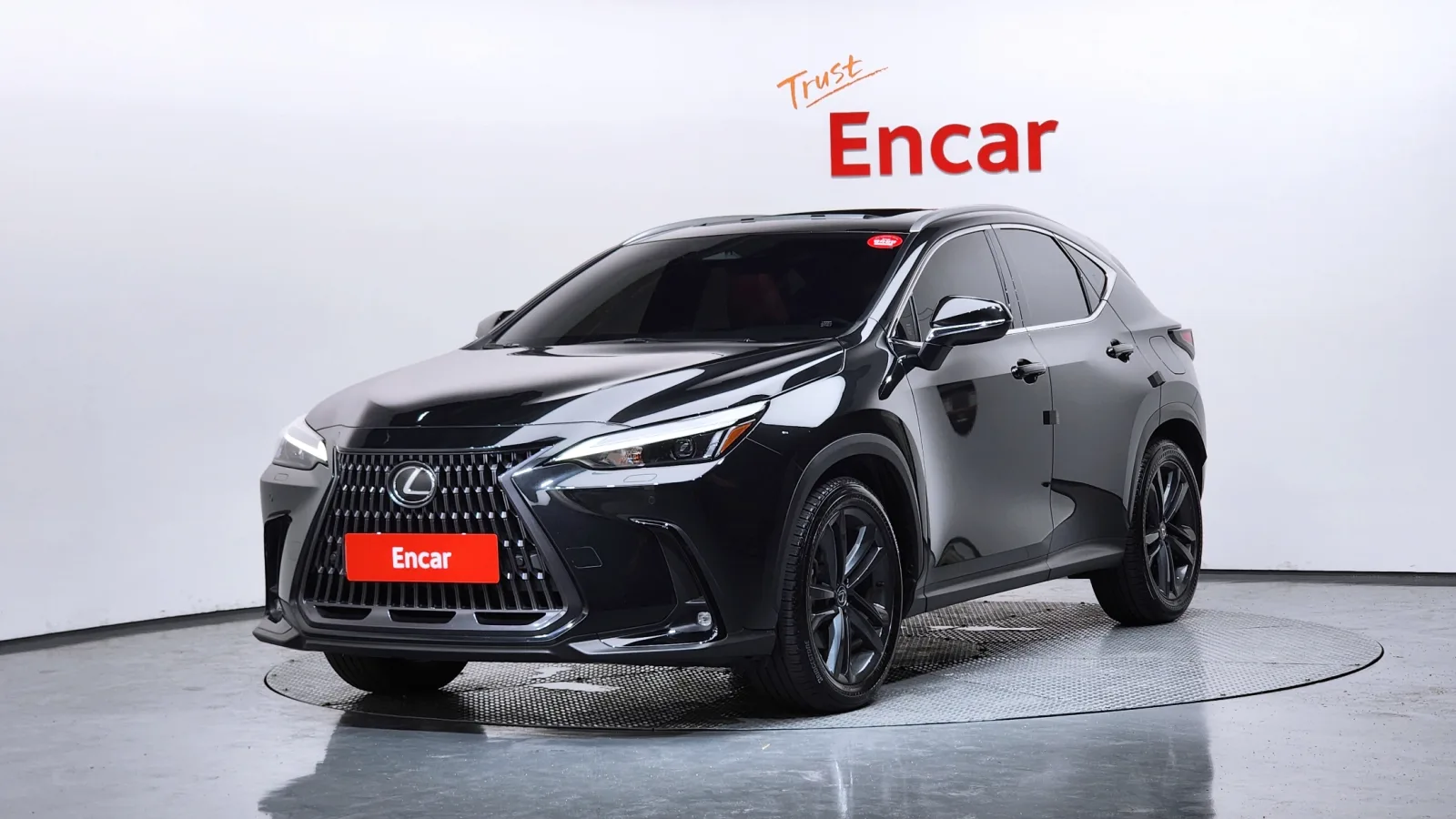 2025 Lexus NX