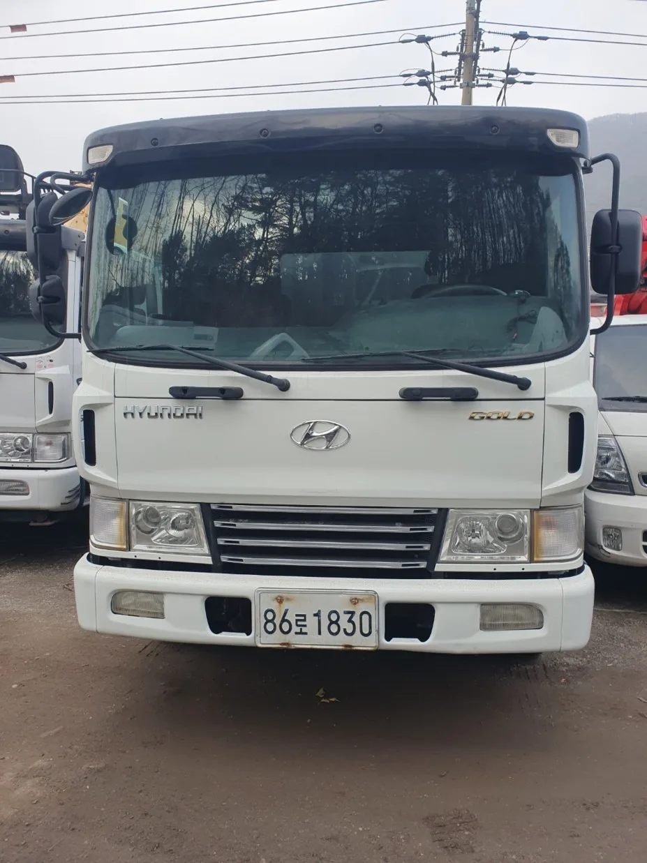 2012 Hyundai Mega Truck