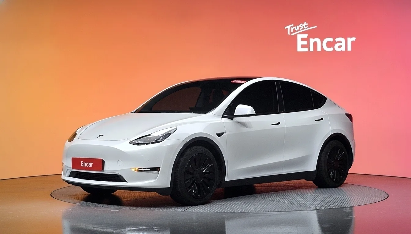 2021 Tesla Model Y