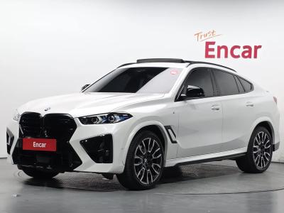 2024 BMW X6