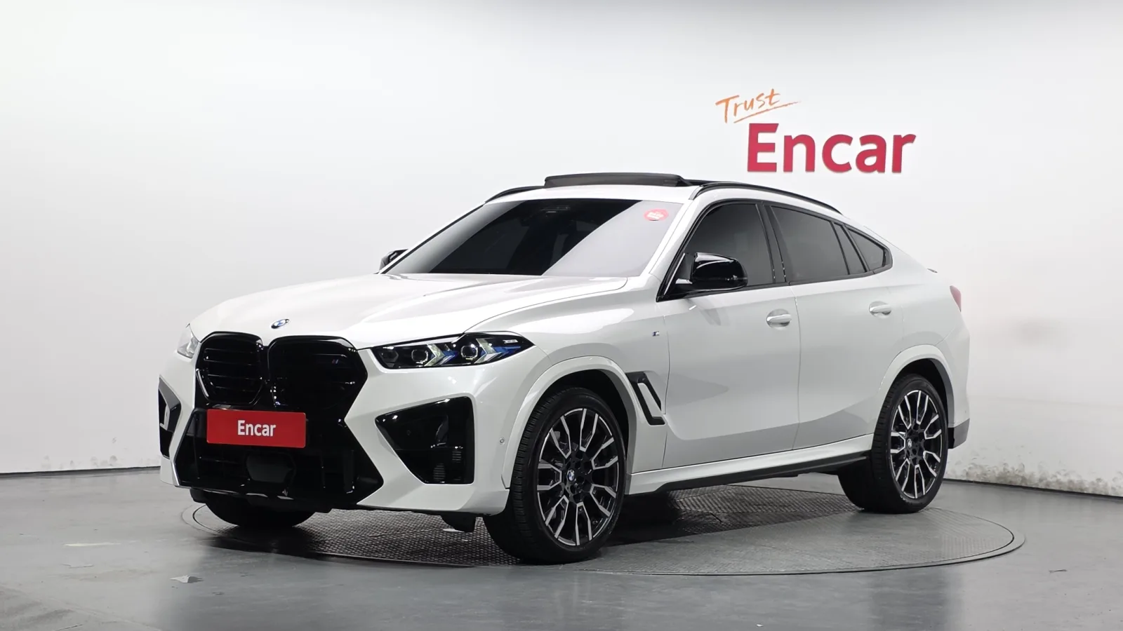 2024 BMW X6