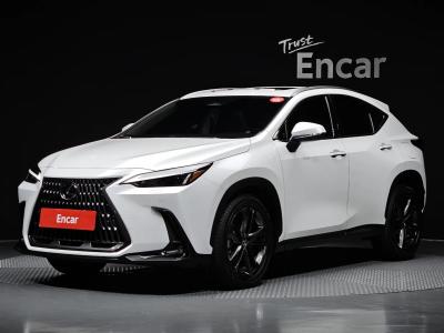 2025 Lexus NX