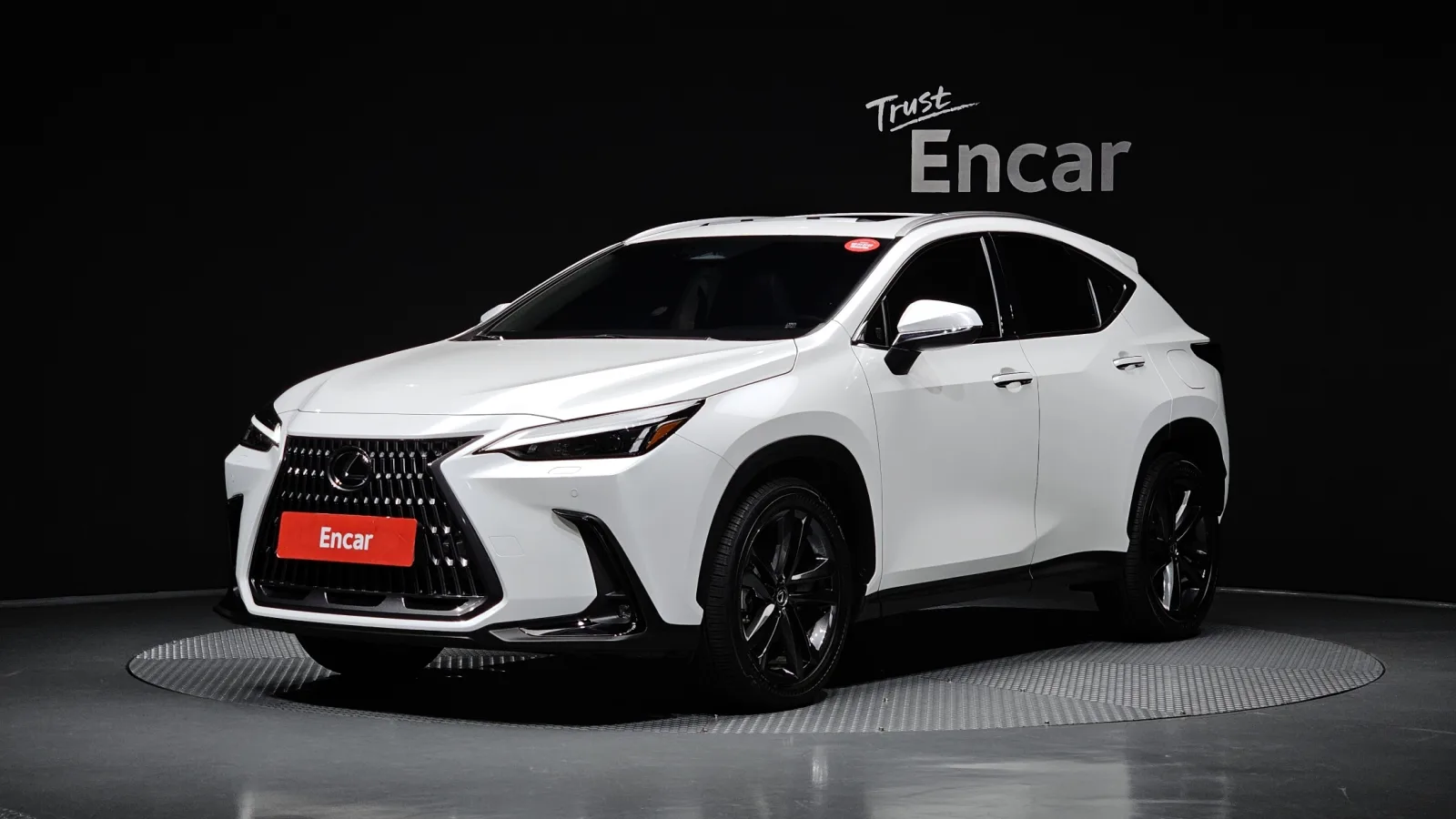 2025 Lexus NX